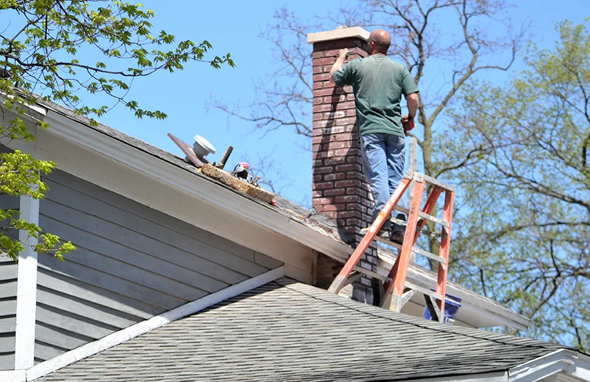 Chimney & Fireplace Inspections Services in Farmington, UT